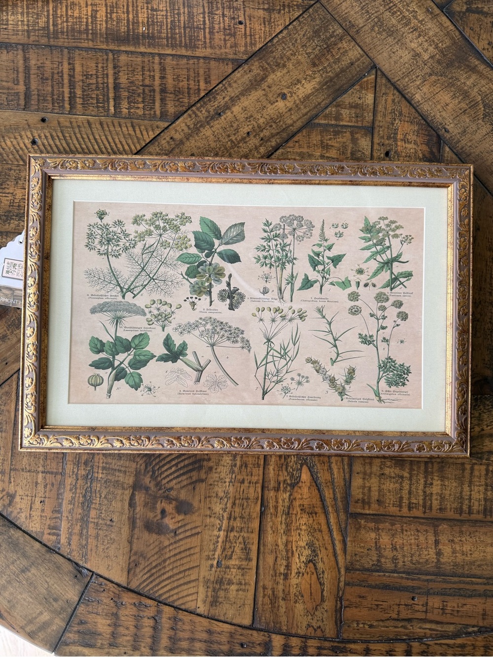 Marmont Hill Gold Framed Art